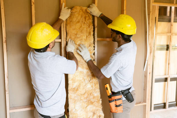 Best Insulation Removal  in Snyder, OK