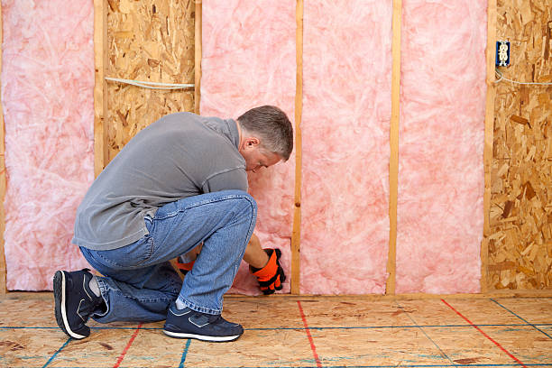 Best Local Insulation Services  in Snyder, OK